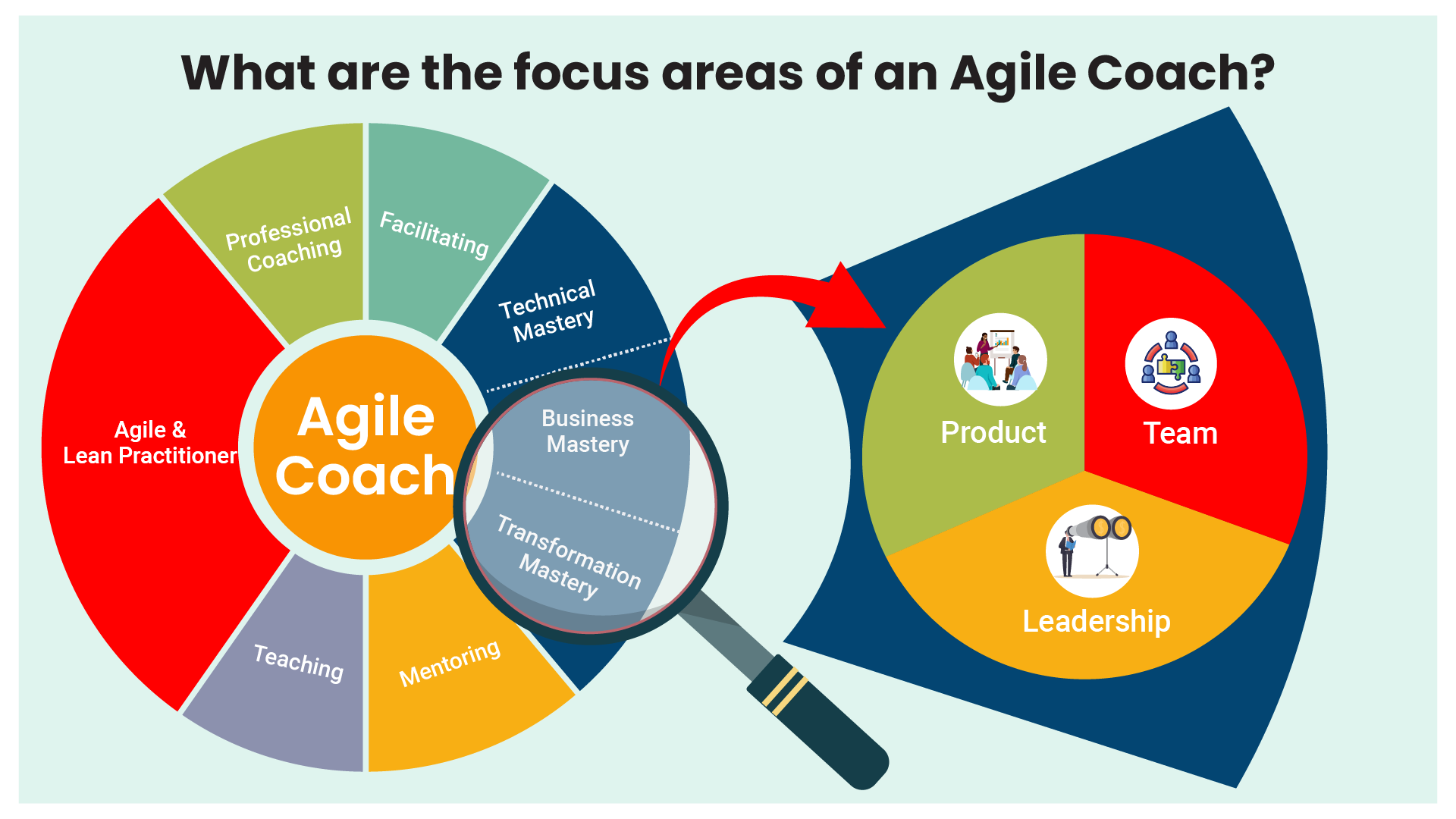 Agile Coach